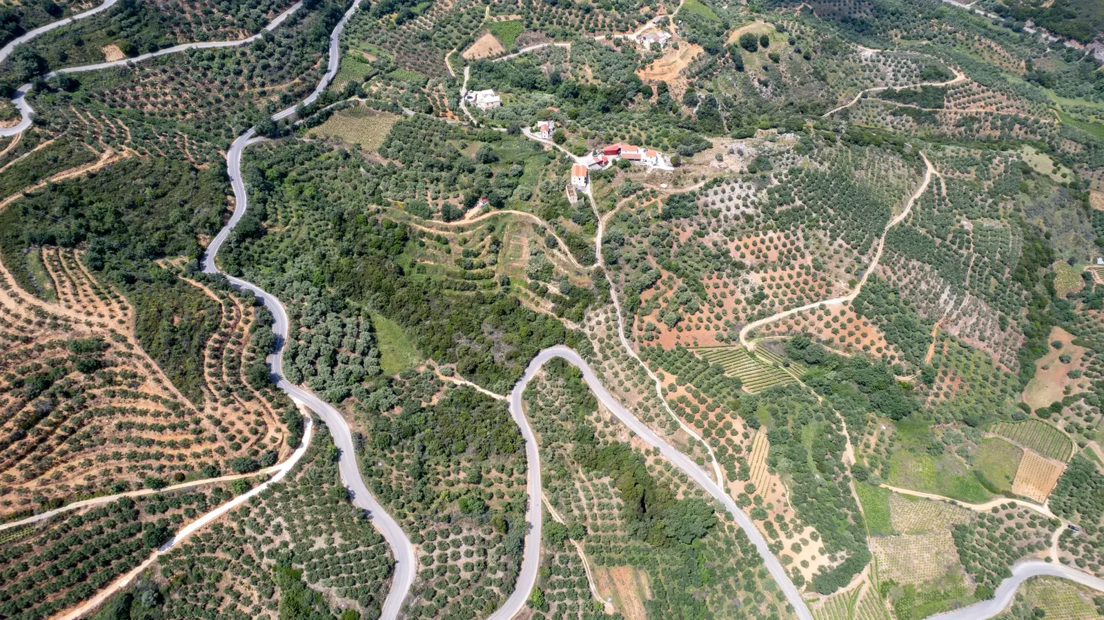 Terraced olive groves around Keramia